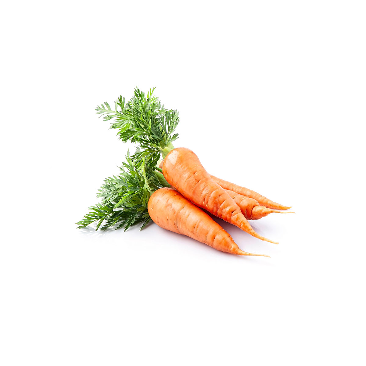 CARROTS