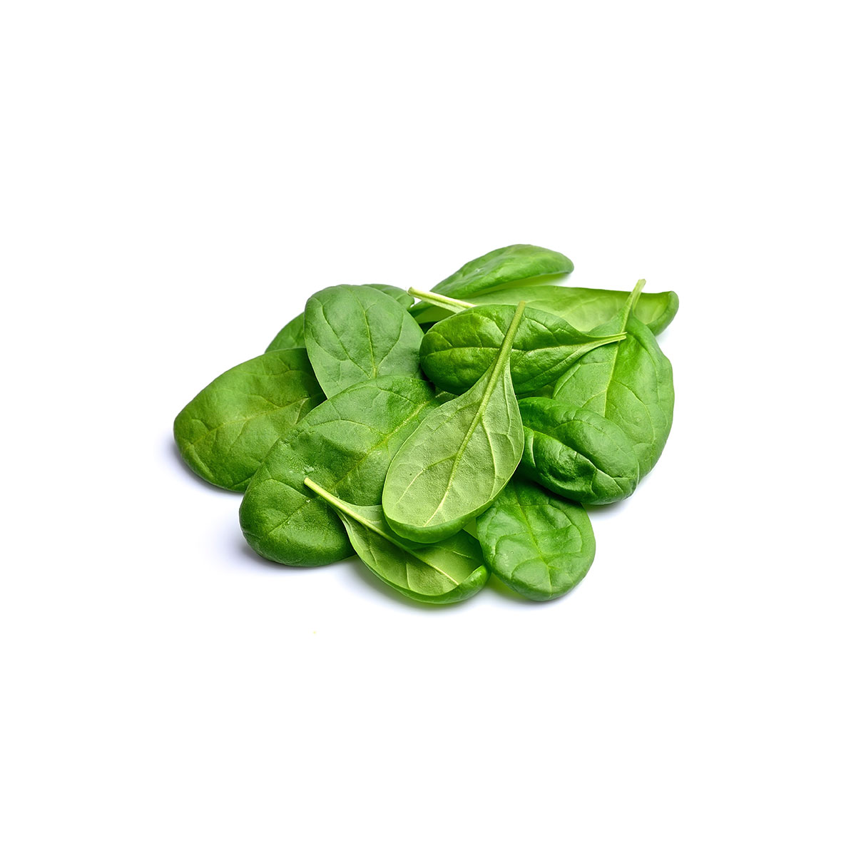 SPINACH