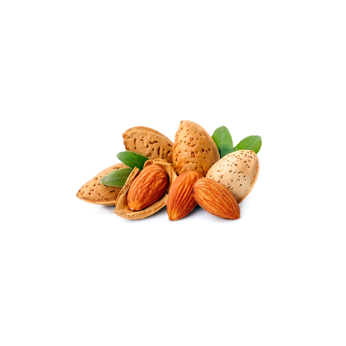 ALMONDS (RAW, BLANCHED, MINCED)