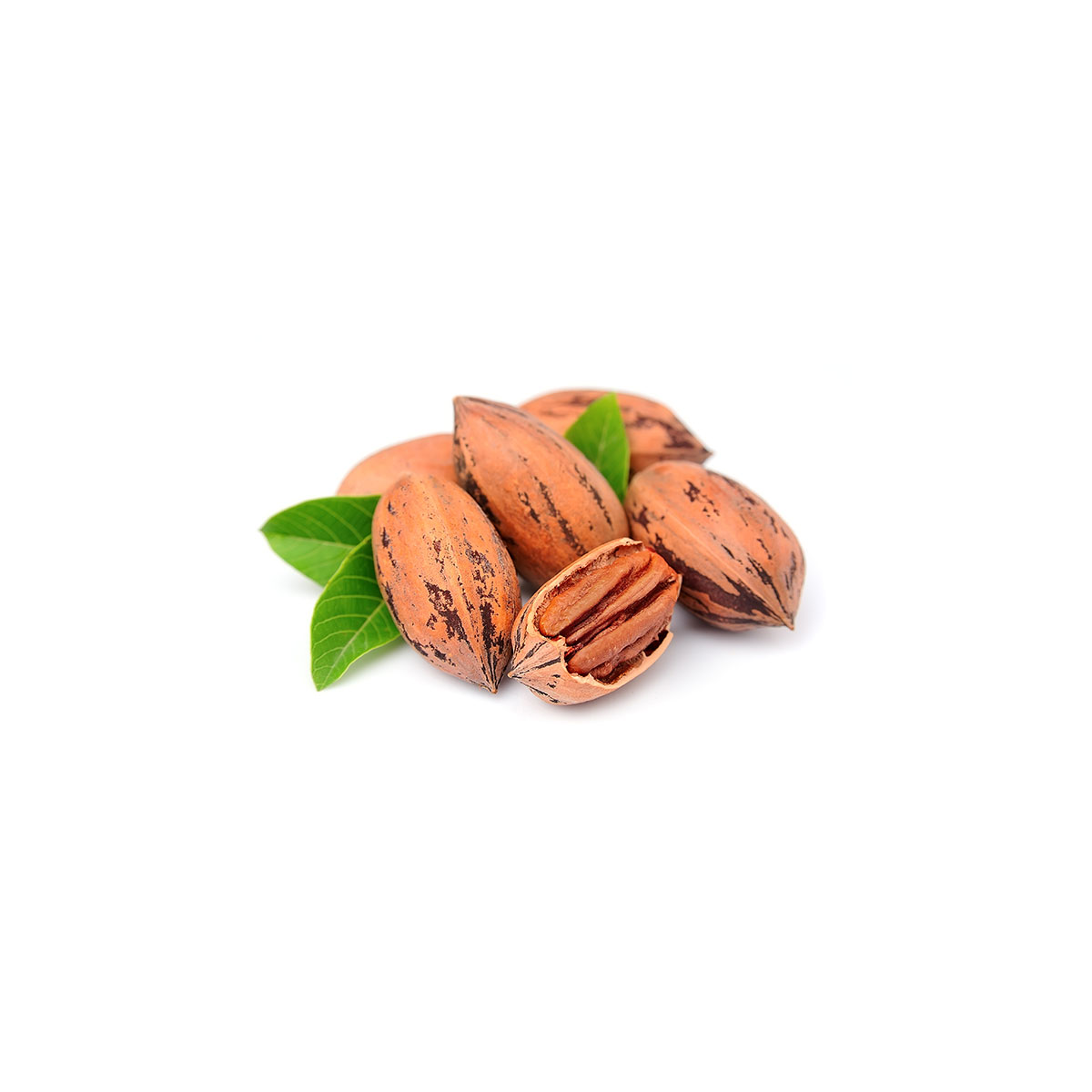 PECANS