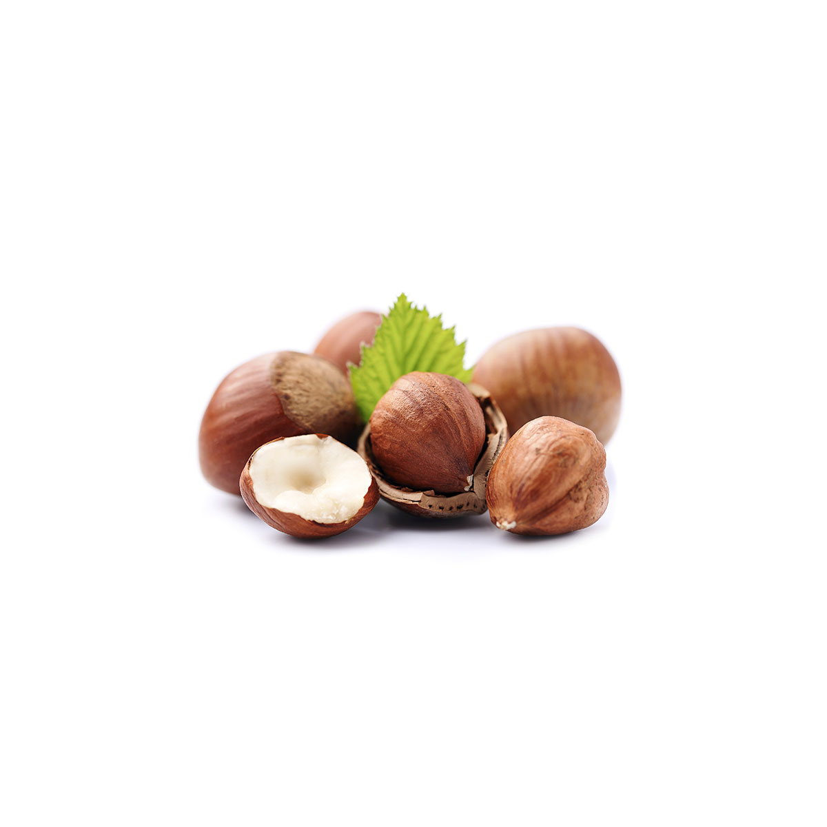 HAZELNUTS (RAW, BLANCHED, MINCED)