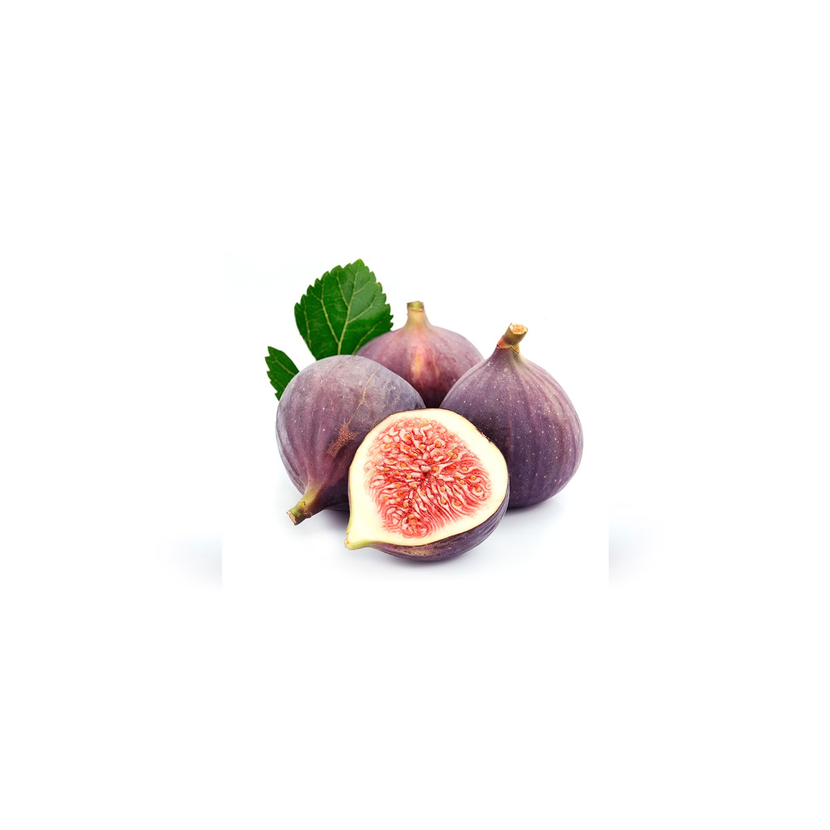 FIGS IN SO2