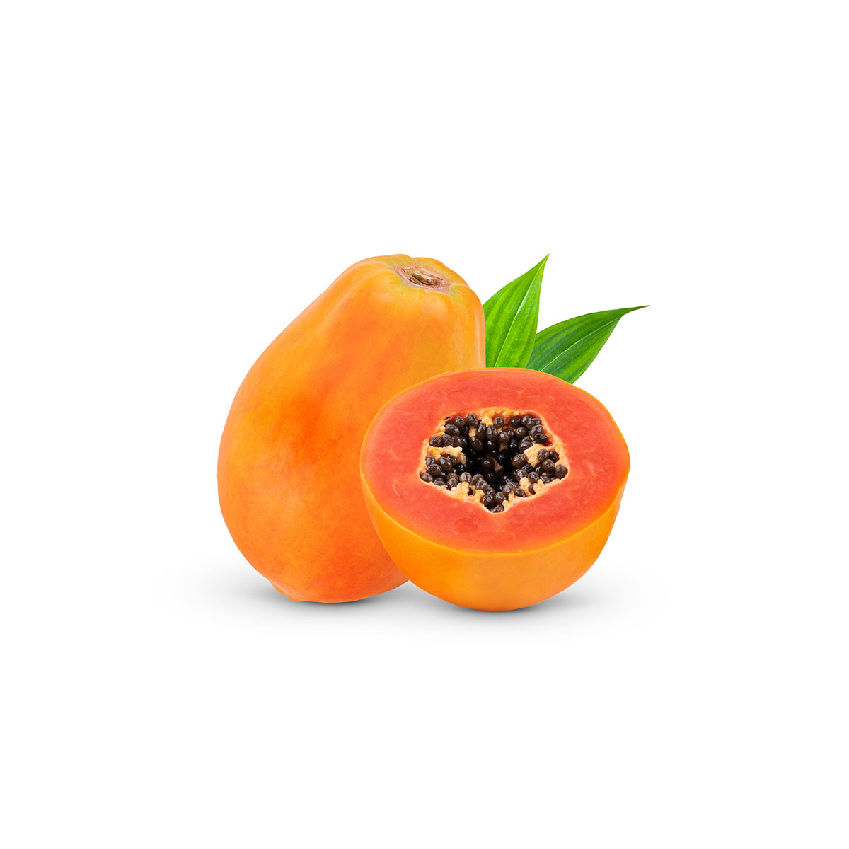 PAPAYA IN SO2