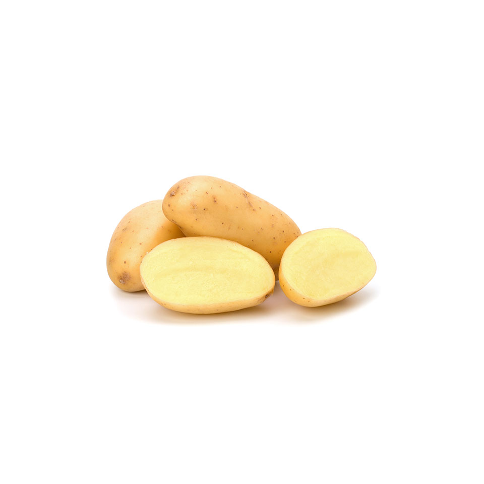 POTATO